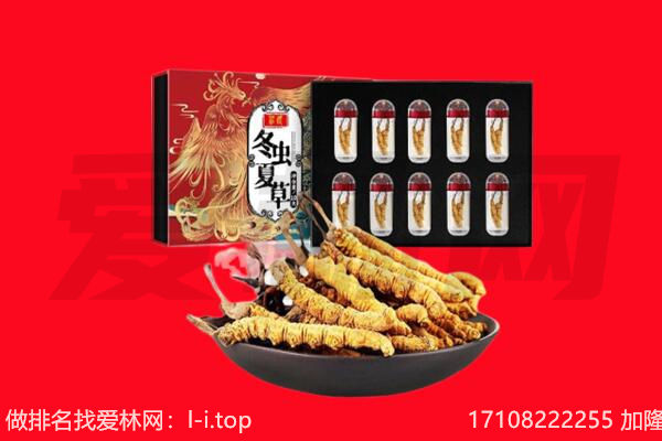 浦东新区回收虫草.jpg